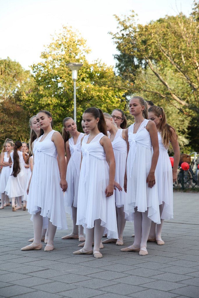Schoolplein Festival B 477.jpg